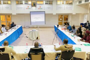 Commission_adhoc_Lobbying_vue_ensemble_salle